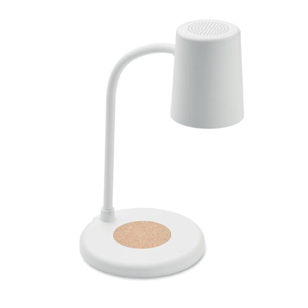 SPOT - Image 2